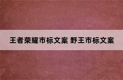 王者荣耀市标文案 野王市标文案